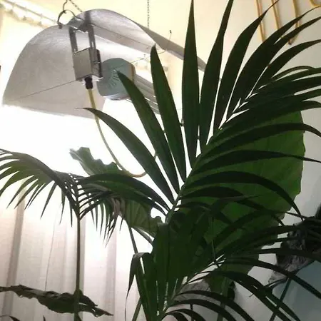 Venice-bb-venezia 5* Venise