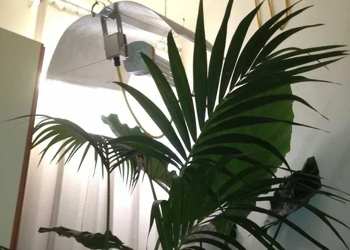 Venice-bb-venezia 5* ヴェネツィア